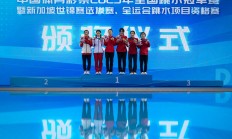 世俱杯:全国跳水冠军赛：“临时搭档”摘金夺银